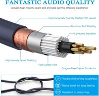 Câble audio stéréo HiFi 2 RCA vers 2 XLR mâles, câble de microphone, cordon de connexion, câble double RCA vers XLR
