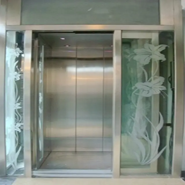 FUJI-elevador de Casa pequeño para interiores