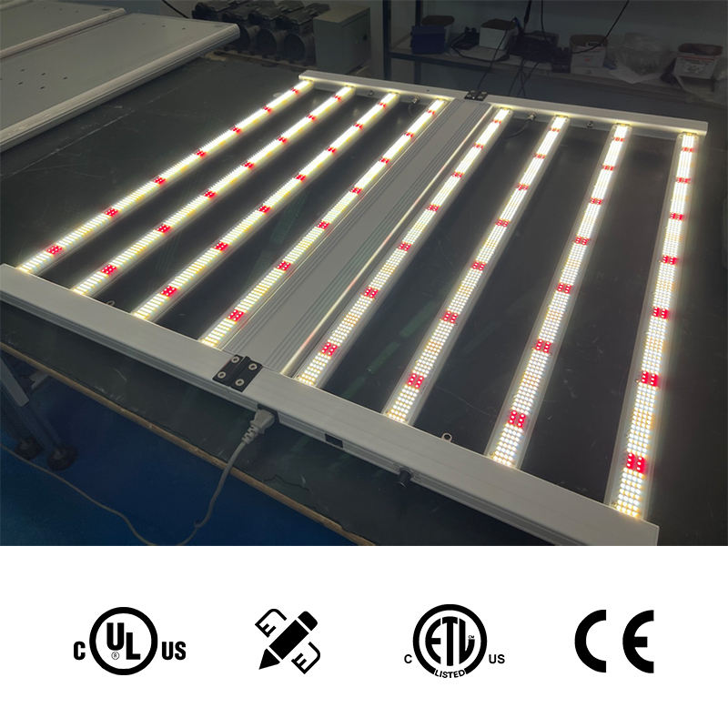 led light 600