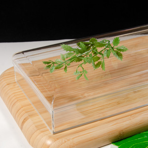 Boîte de présentation en acrylique de 30 cm en gros, boîte d'emballage transparente en plastique de qualité alimentaire, et boîte cadeau avec couvercle - Product Image 2