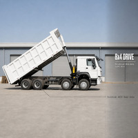 Самосвал 8x4, 380 л.с., 371 л.с., 375 л.с., 12-колесный, 40-тонный, с левым/правым рулем, для продажи, для строительства и транспортировки