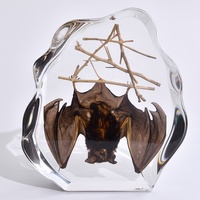 Spécimen de chauve-souris taxidermisé, artisanat en résine pour la décoration gothique, l'enseignement de la biologie et les objets de collection créatifs et culturels