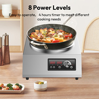 Table de cuisson à induction électrique haute puissance 220V avec double plaque chauffante 3.5KW, 8 niveaux de puissance, commande par bouton et poignée