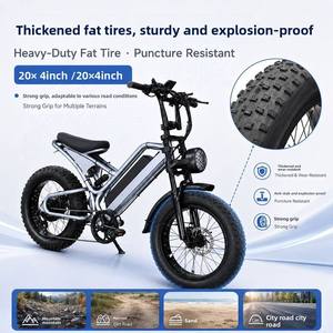 Vélo de montagne électrique 500W 48V 10.4Ah 20 pouces avec pneus larges en acier haute teneur en carbone pour vignobles, vergers et prairies - Product Image 4