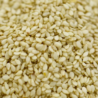 Graines de sésame biologiques de haute qualité Type de plantation naturel de qualité alimentaire crue séchée disponible approvisionnement d'usine prix de gros en vrac