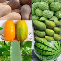 Industriële automatische pompoen-ananas-fruit-schilmachine voor groenten