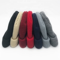 Bonnet d'hiver tricoté côtelé personnalisé à petit MOQ pour pêcheur, course à pied, plage, affaires, voyage