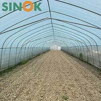 Serre tunnel monocouche Sinok 10*30 pour tomates, ensemble complet, structure galvanisée à chaud haute résistance pour la culture de tomates
