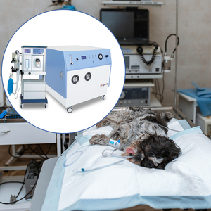 Usine d'oxygène de qualité médicale à haute pression pour animaux de compagnie JAY-20-4.0 pour les soins intensifs en <span class=keywords><strong>clinique</strong></span> vétérinaire avec O2 de haute pureté - Product Image 2