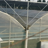 Système de gouttières en acier galvanisé à chaud pour serre