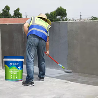 Ciment polymère JS revêtement de toit imperméable liaison forte bonne résistance à l'eau en béton acide acrylique imperméabilisation