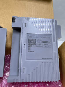 MÓDULO DE SALIDA DIGITAL, S2, 2, 2, 1 - Product Image 2