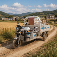 Tricycle électrique de fret robuste 1200W avec batterie interchangeable, boîte ouverte, moto de livraison à 3 roues, cadre épaissi, haute capacité de charge