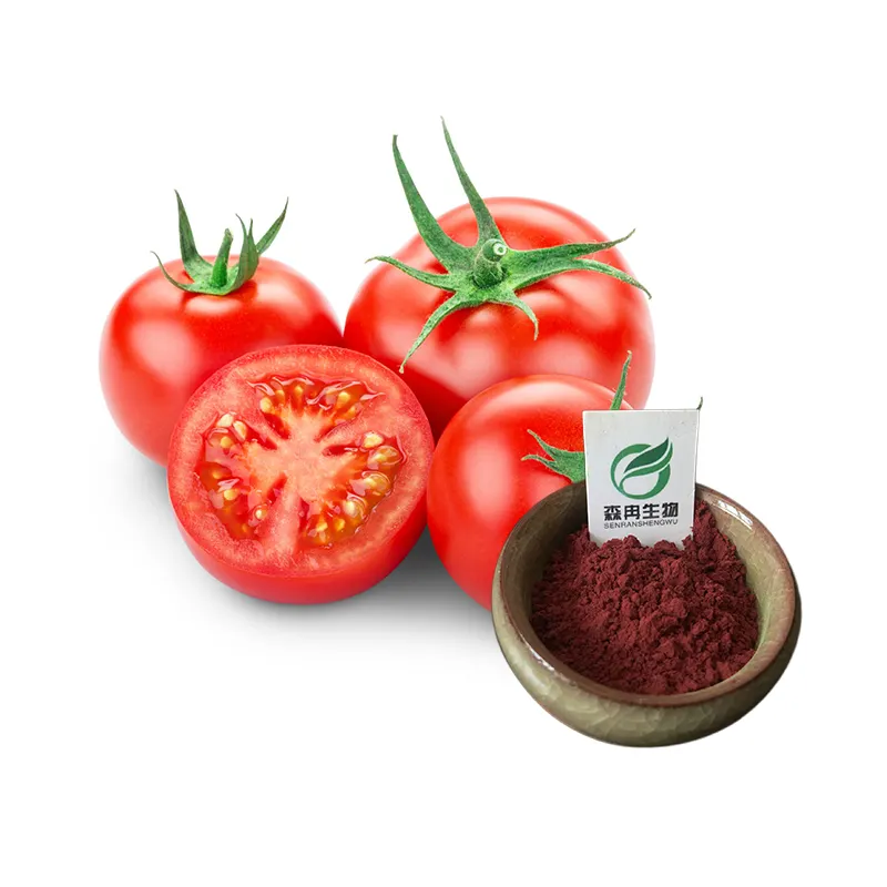 Factory Supply 100% Natural Pure Tomato Extract Powder Lycopene