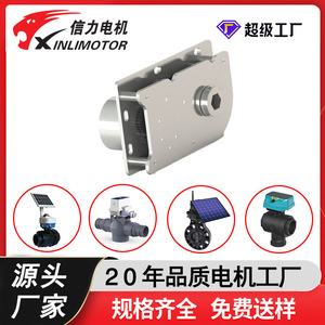 Dc 24V High Pressure Irrigation Gear Motor With Permanent Magnet <b>Small</b> Size For Solar Water <b>Pump</b> - Product Image 5