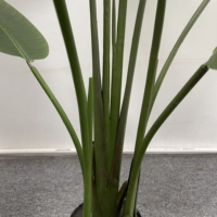 Haute qualité décoration de la maison en plastique bananier palmier plantes artificielles en pot plantes artificielles