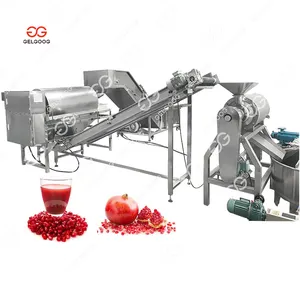 Endüstriyel nar cilt soyucu çekirdeği çıkarma suyu sıkacağı İşleme nar soyma makinesi