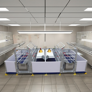 Chất lượng cao New Pig nâng cao thiết bị động vật lồng gieo <span class=keywords><strong>farrowing</strong></span> Crate cho lợn trang trại - Product Image 6