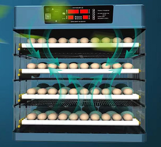 Intelligent Control mini egg incubator