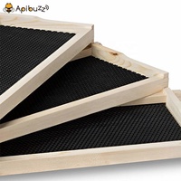 Langstroth Holz Tiefe Honig Bee Hive Rahmen mit Kunststoff Foundation Imkerei Ausrüstung Bienenzucht Beehive Werkzeug Liefert