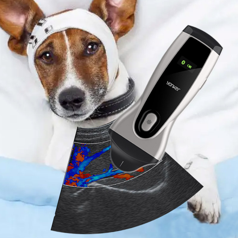Yonker Automatic Portable Veterinary Injector Syringe