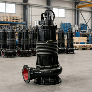 Potente Bomba Sumergible de Hierro Fundido para Aguas Residuales, Bomba Eléctrica para Aguas Sucias, Sistema de Drenaje para Control de Inundaciones en Sótanos - Product Image 3