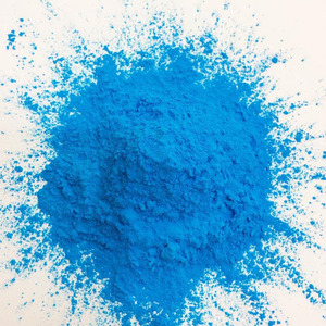 50 grammi colorato sacchetto di polvere Holi 100% eco-friendly e sicuro arcobaleno colorato Holi in polvere - Product Image 4