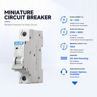 Disjoncteur miniature EAST 1P C16 16A 10kA AC230/400V Courbe C Rail DIN Usage Domestique et Commercial EM10-63