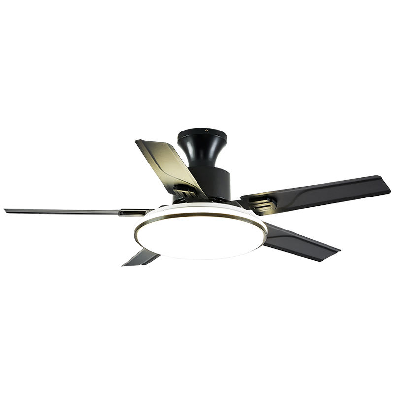 ติดตั้งสีดำ