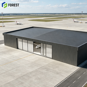 Hangar Industrial de Acero Estructural Personalizado, Edificio Prefabricado de Gran Capacidad para Depósito de Aviones - Product Image 1