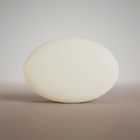 Extrait de noix de coco séché par pulvérisation de qualité alimentaire en gros, origine Thaïlande (Bangkok), emballage de 25 kg