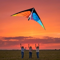 SUNEYE SEF17 Zhejiang Kite 2.4m Dual-Line Polyester Fabric Durable Stunt Sports Soaring Swallow Ready Fly Adults Freestyle 30m