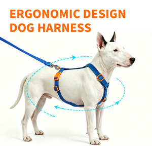 Adjustable <b>Pet</b> Harness Set Polyester Dog Walking <b>Collar</b> <b>Leash</b> and Harness Set With Quick Release Buckle for Dog Outdoor Training - Product Image 3