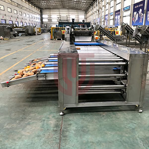 Machine de tri et de calibrage pour agrumes, oranges, mangues, avocats, citrons, kinnows, mangoustans, kiwis, tomates, pommes de terre, oignons, pommes, fruits du dragon et fruits de la passion - Product Image 4