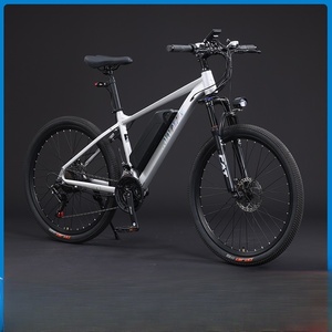 Vélo électrique Scooter amusant Trial Tricikle Motocross Commuter Mirror Electr Ansbern Dutch Mootoro Vélo électrique - Product Image 2
