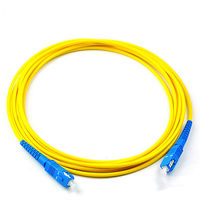 LC SC FC Intérieur Simple/Duplex Monomode/Multi Mode OM3 OM4 Cordon de raccordement à fibre optique 2.0mm 3.0mm Longueur personnalisée