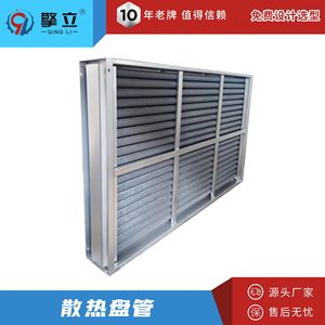 Radiateur à vapeur d'eau avec échangeur de chaleur, raccordement à brides, en acier inoxydable, pour modernisation et rénovation - Product Image 4