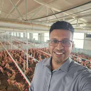 Mangeoires automatiques pour animaux, mangeoires et abreuvoirs pour poulets, ligne d'alimentation pour volailles, équipement pour élevage de poulets de chair - Product Image 2