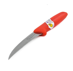 Couteau à fruits DF13 KIWI-fruits en acier inoxydable pour le camping - Product Image 1