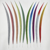 Plumas Sintéticas de Faisán Lady Amherst para Disfraces de Carnaval y Samba, de 60-160 cm