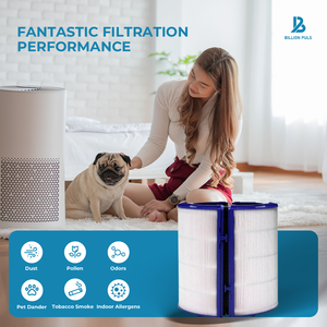 Filtre à air de remplacement H13 Compatible Dysons <span class=keywords><strong>HP04</strong></span> TP04 DP04 Filtre et carte de carbone Filtre Hepa <span class=keywords><strong>Purificateur</strong></span> d'air - Product Image 3