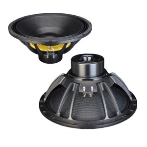 Subwoofer à aimant néodyme de 21 pouces, 135 mm, haute puissance, professionnel, pour scène, karaoké, gymnase - Product Image 1