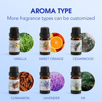 Ensemble d'huiles essentielles pour le corps en bouteille, marque privée, 100% naturelles, anti-rides et anti-âge, lavande, citron et arbre à thé