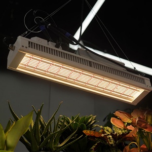 Luces LED de Espectro Completo T8 de 320W-650W a Prueba de Agua para Sistemas de Cultivo Hidropónico de Fresas - Product Image 5