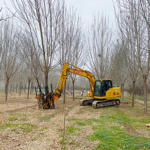 Shandong Factory <b>Tree</b> Spade Skid Steer & Excavator 6 Ton Suitable 800kg <b>Weight</b> <b>Tree</b> Transplanter Machine - Product Image 2
