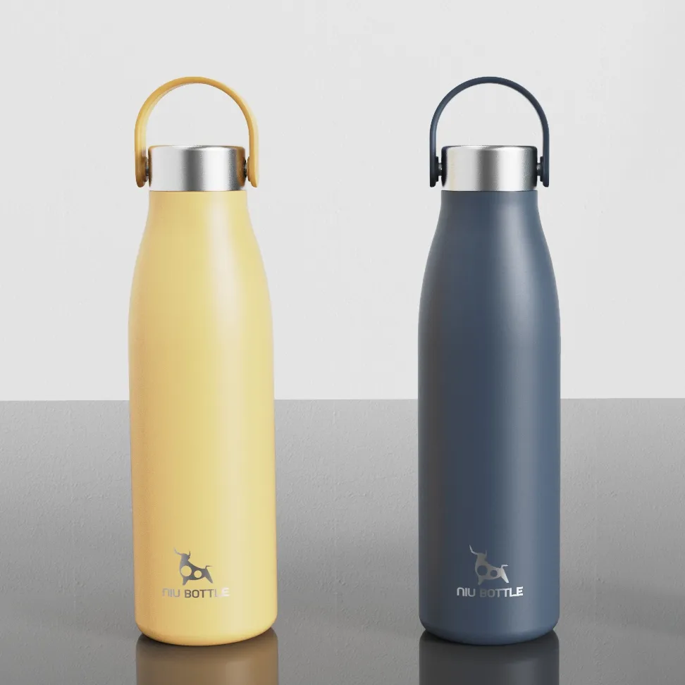 stainless steel vacuum water bottle