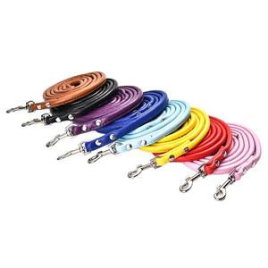 Wasserdichter Collier Pour Chien Langlebiger Corde Pour Chien Longe Chien Etanche - Product Image 1