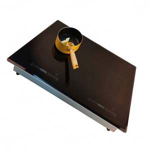 Cuisinière à induction de conception OEM 4KW avec 2 ventilateurs - Product Image 5