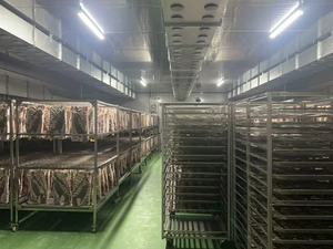 Macchina intelligente di fermentazione asciugatura ad aria per carne di carne di agnello in acciaio inox cremagliere ventilazione temperatura di controllo di umidità telecomando APP PLC - Product Image 4