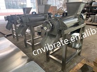 Mixeur et presse-agrumes multifonctionnel commercial VBJX de haute qualité à grande capacité pour gingembre